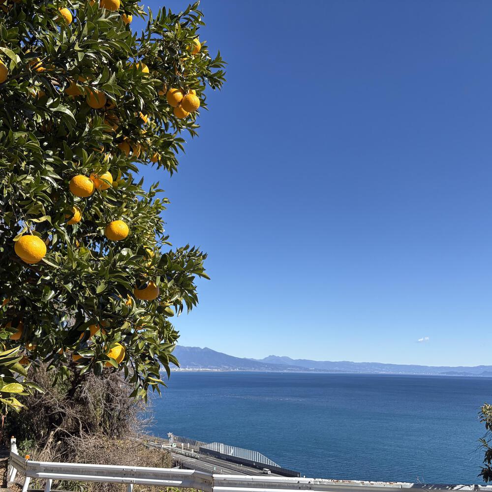 東海道五十三次の景色、薩埵峠の写真4