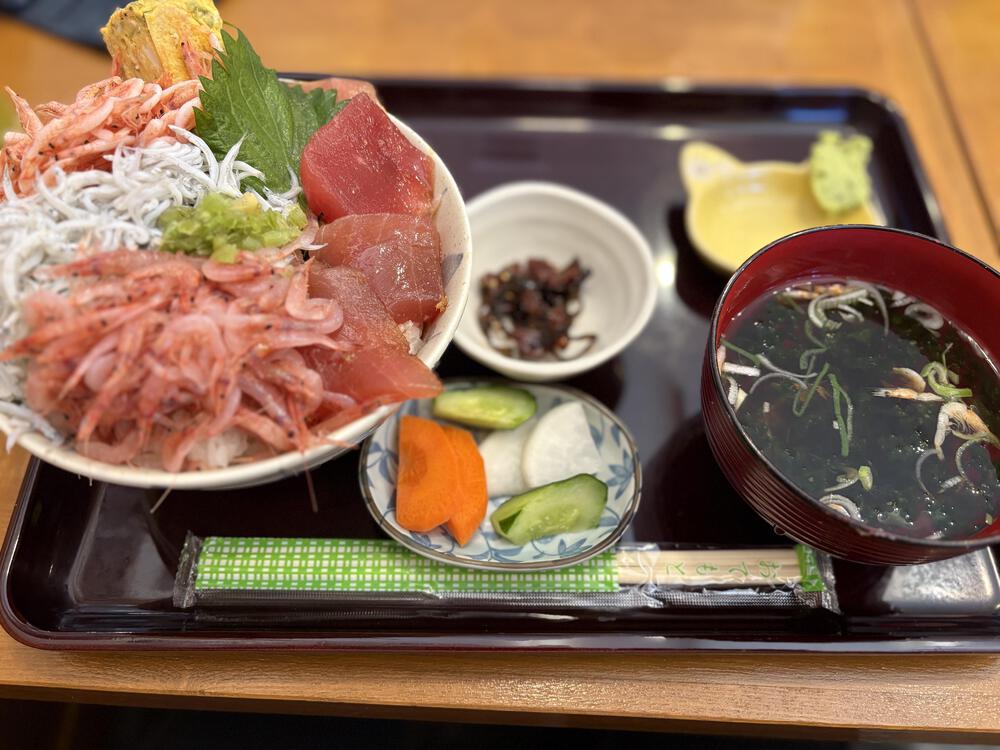 東海道五十三次の景色、薩埵峠の写真5