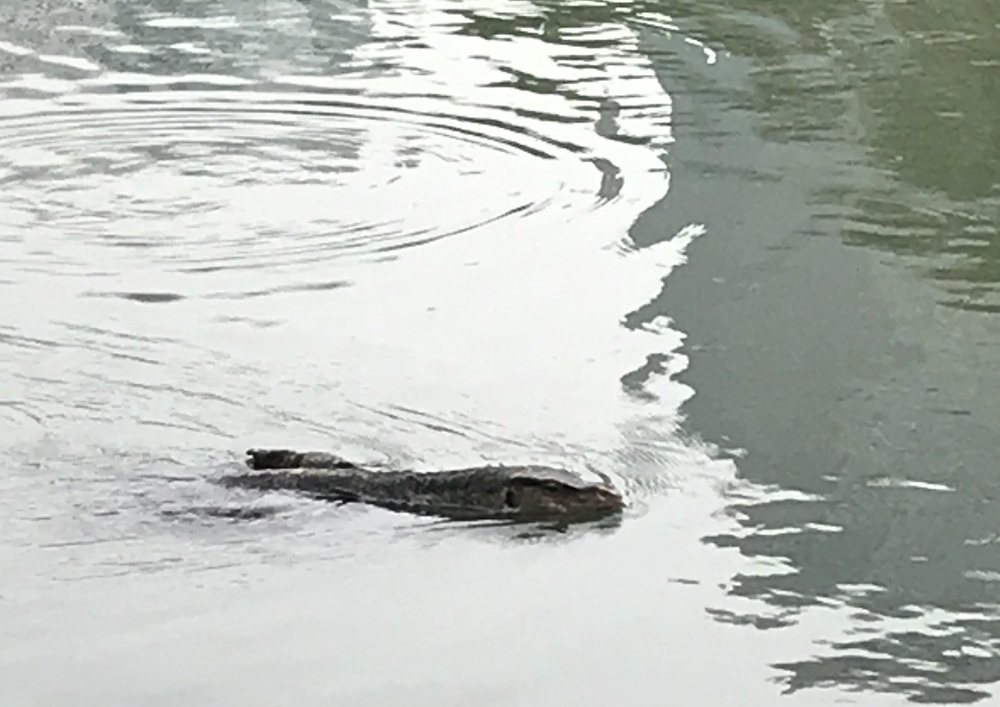 バンコクの定番ルンピニー公園の写真3
