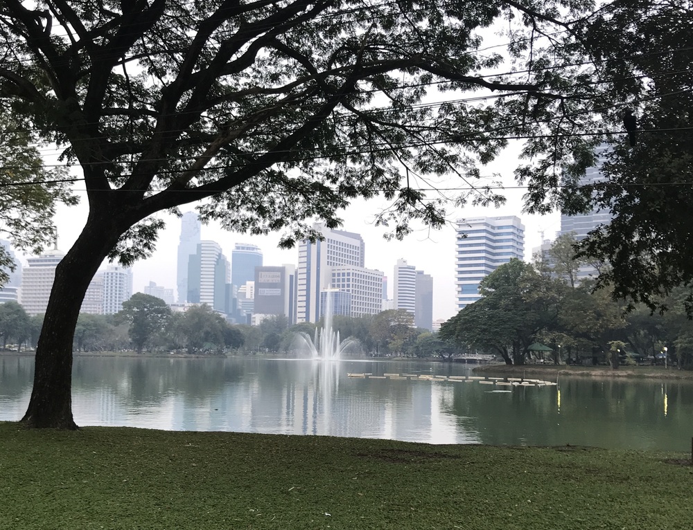 バンコクの定番ルンピニー公園の写真4