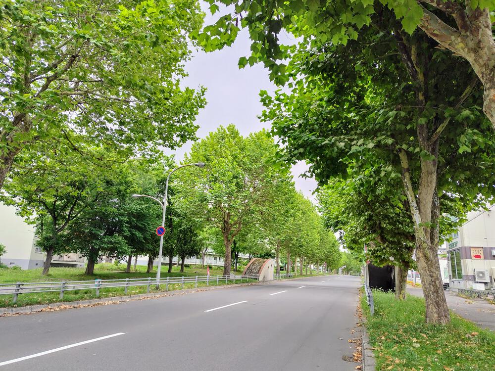 旭川ハーフマラソン 新コース 下見の写真10