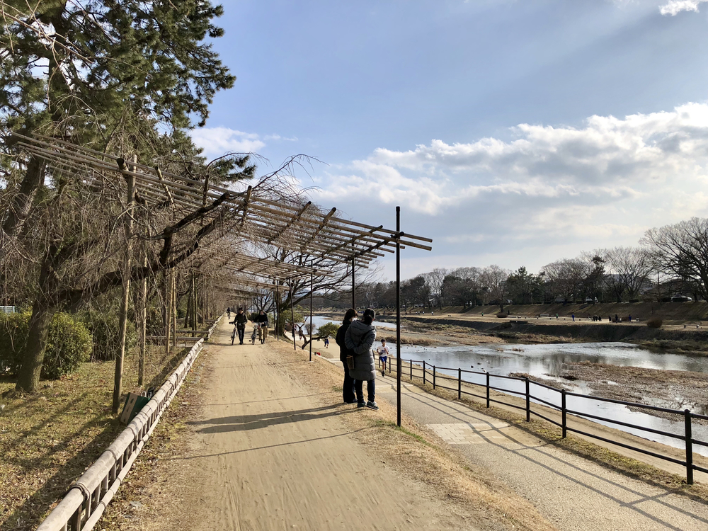 京都マラソン ショートカット観光ランの写真7