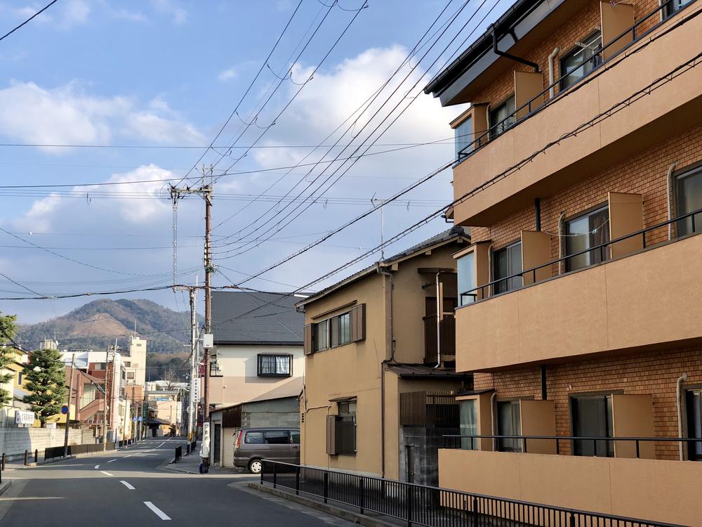 京都マラソン ショートカット観光ランの写真9