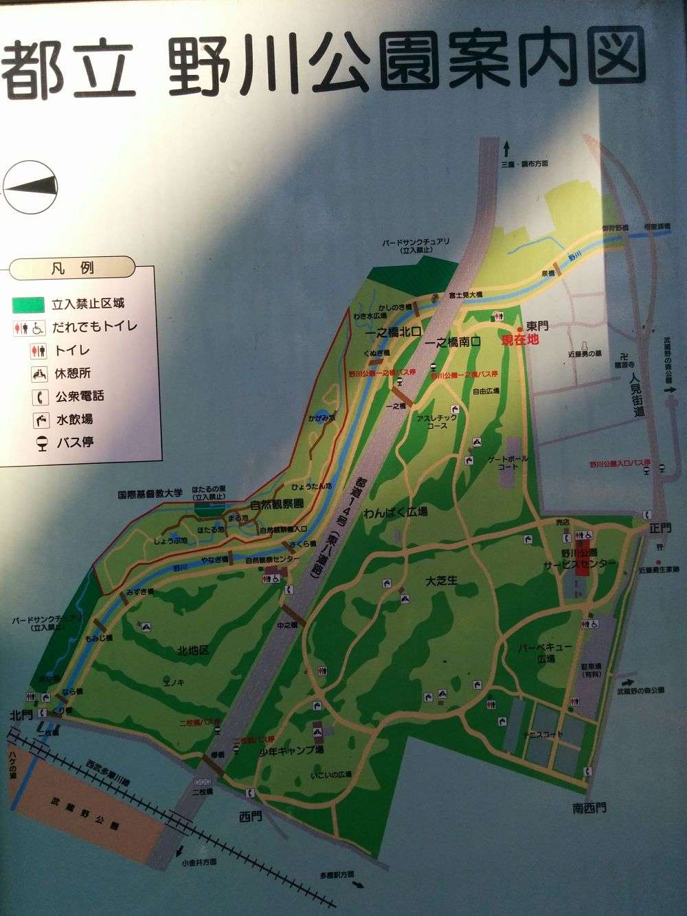 西東京クロカンコース・野川公園の写真3