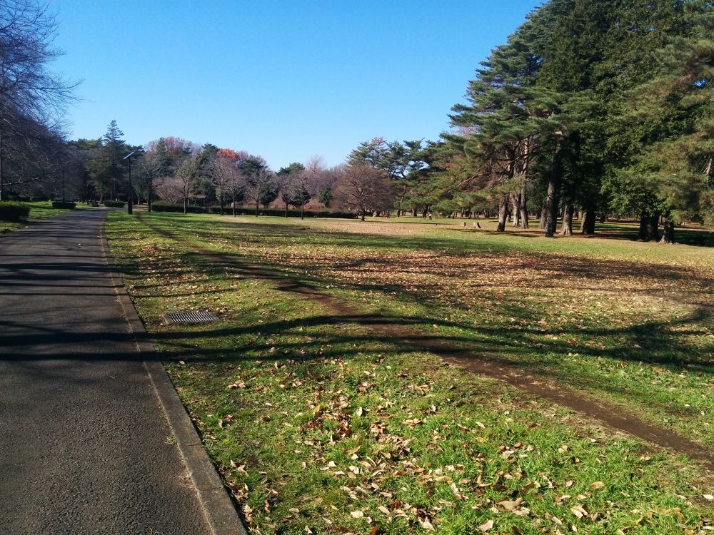 西東京クロカンコース・野川公園の写真4