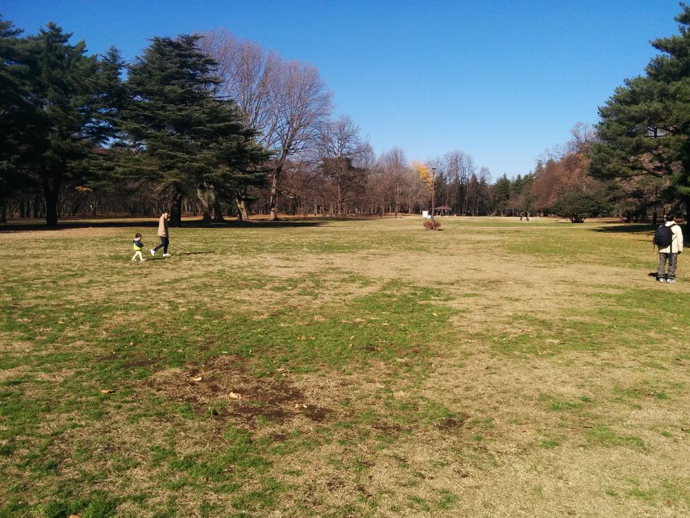 西東京クロカンコース・野川公園の写真5