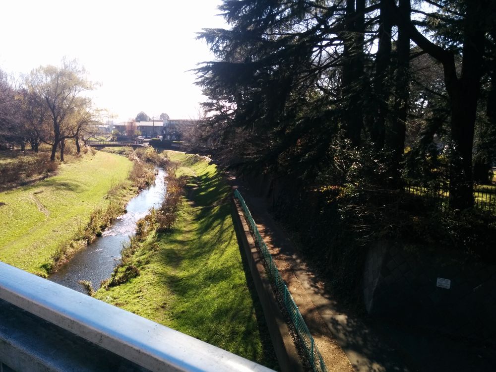 西東京クロカンコース・野川公園の写真6