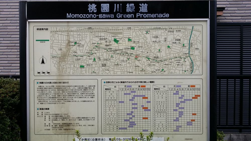 都会の隠れ道・桃園川緑道をゆくの写真3