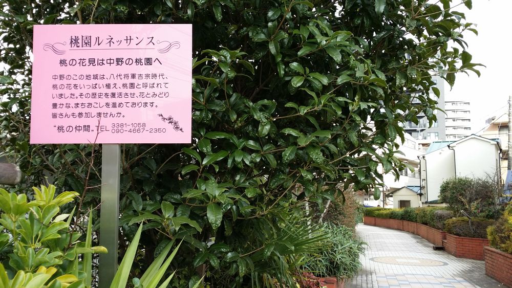 都会の隠れ道・桃園川緑道をゆくの写真4