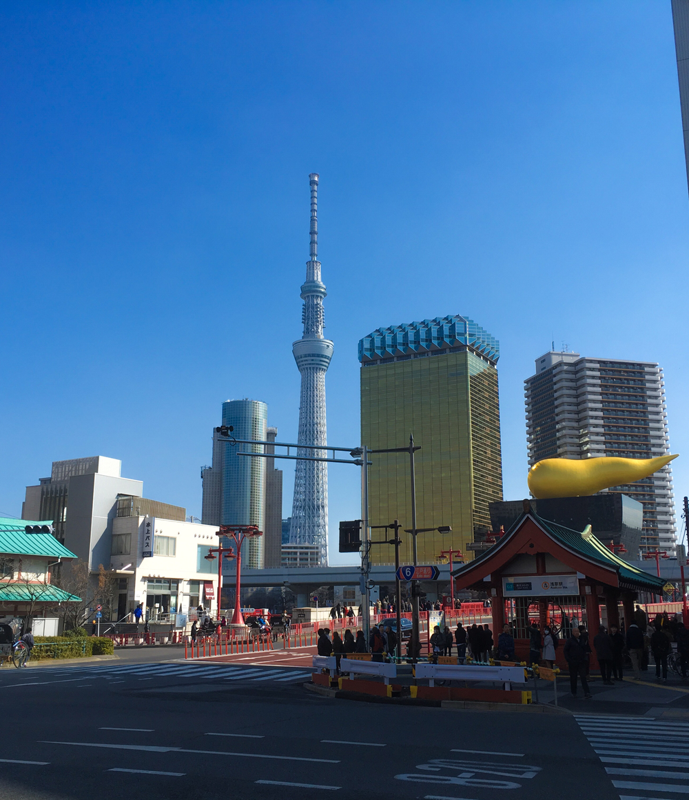 東京名所お手軽RUN  隅田川テラスコースの写真3