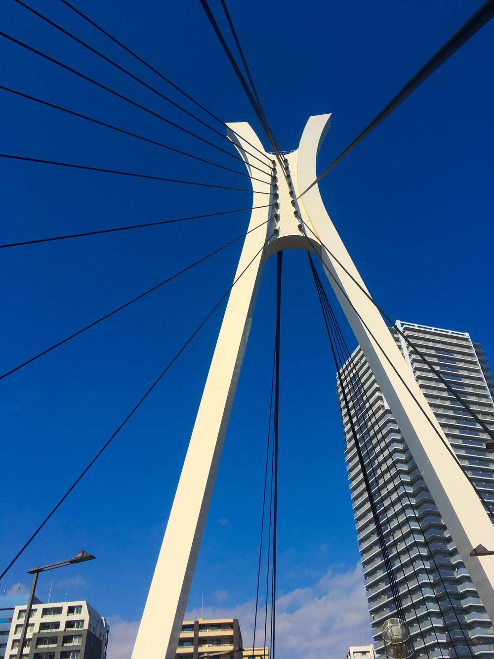 東京名所お手軽RUN  隅田川テラスコースの写真5