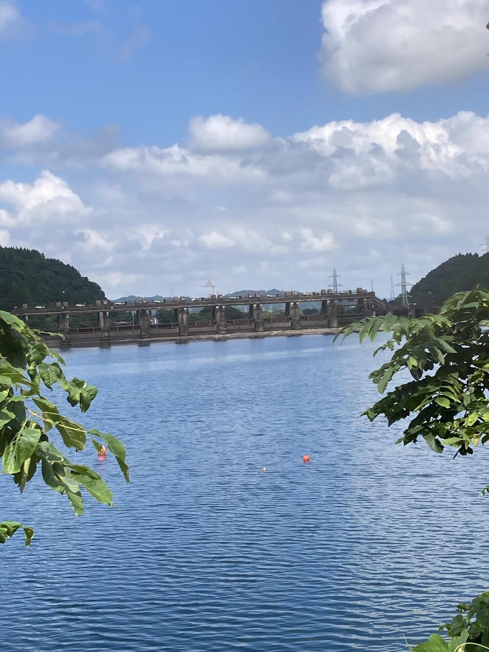 神通川と猿倉山森林公園の写真4