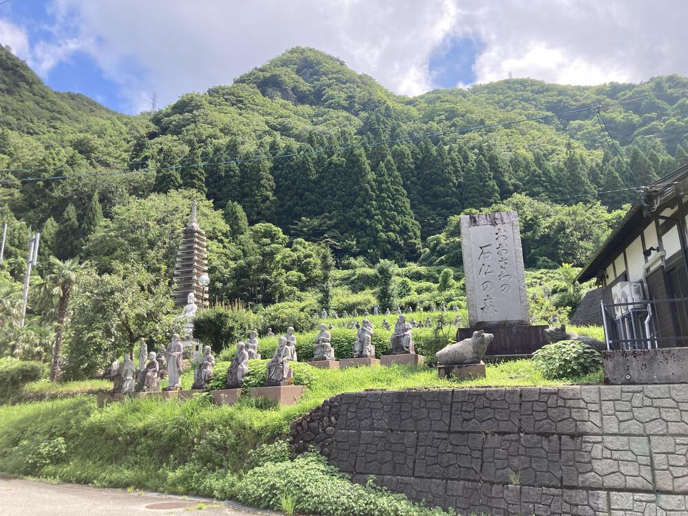 神通川と猿倉山森林公園の写真5