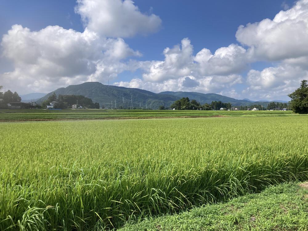 神通川と猿倉山森林公園の写真7