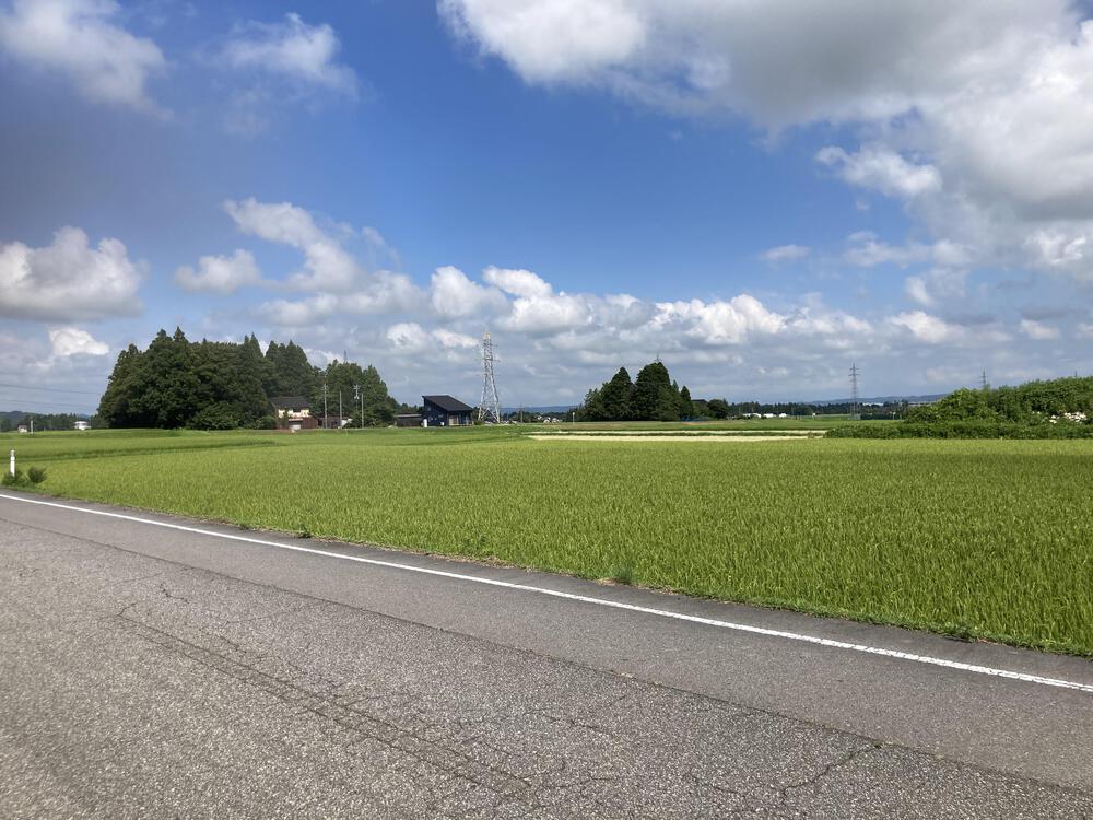 神通川と猿倉山森林公園の写真8