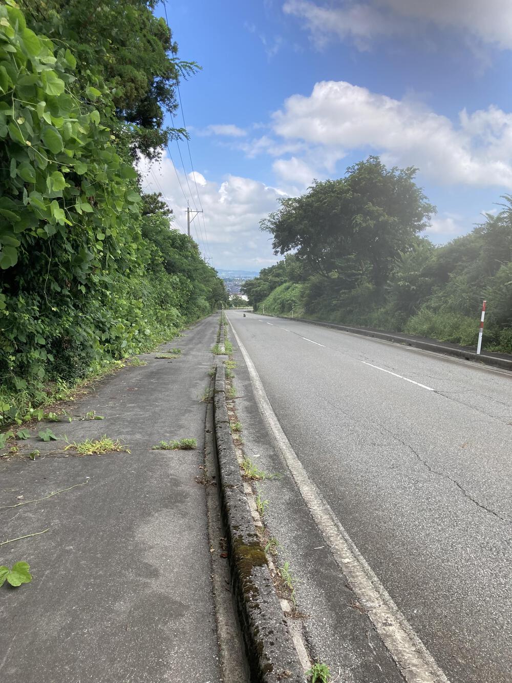 神通川と猿倉山森林公園の写真9