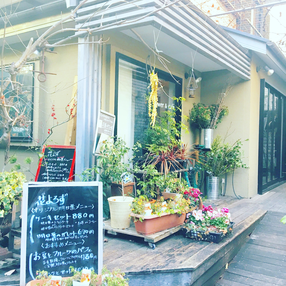 池袋から目白の古き良き雰囲気を残す住宅街を通って戸山公園から新宿への写真5