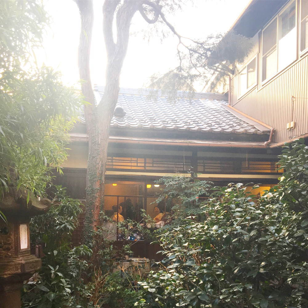 池袋から目白の古き良き雰囲気を残す住宅街を通って戸山公園から新宿への写真6