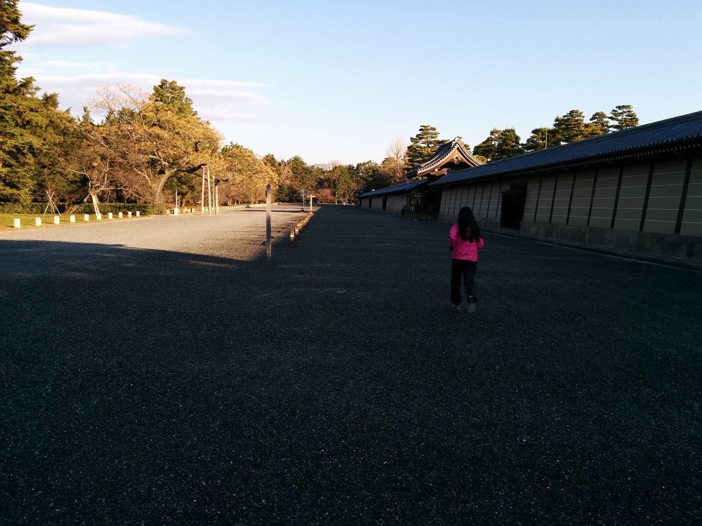 由緒ある史蹟・京都御苑・二条城の写真3