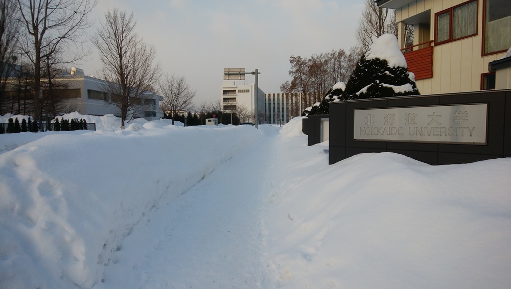 札幌市内観光朝ラン②北大外周編の写真3