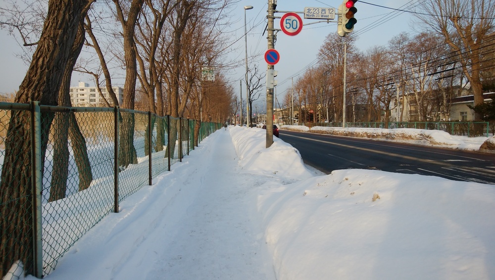 札幌市内観光朝ラン②北大外周編の写真4