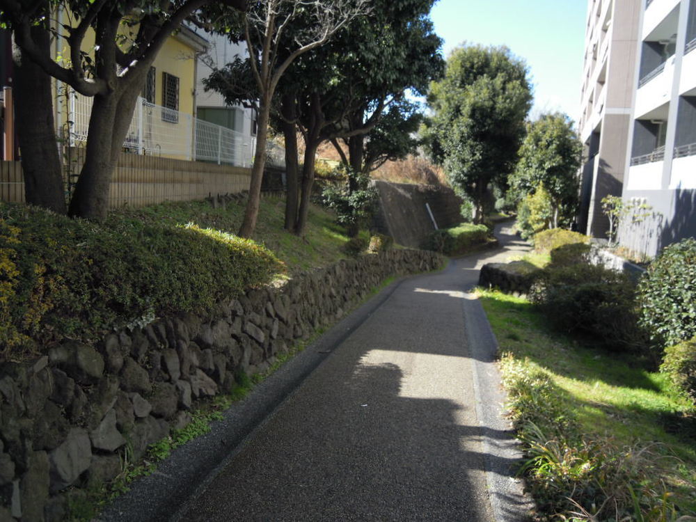 横浜市神奈川区「水と緑豊かな安らぎのルート」の写真8