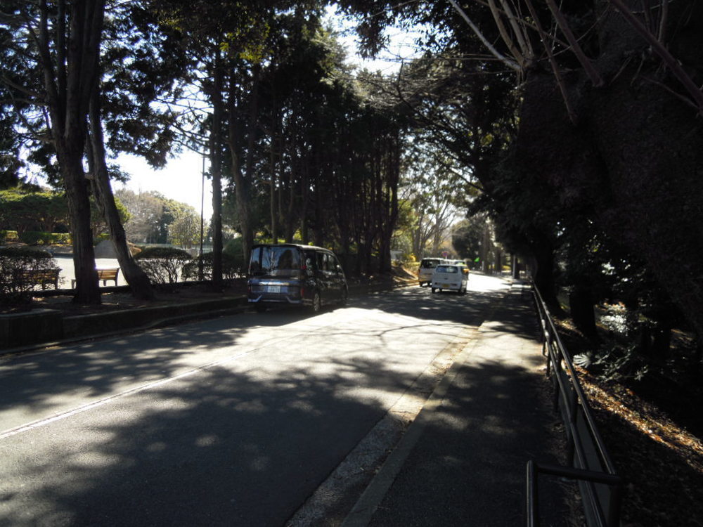 横浜市神奈川区「水と緑豊かな安らぎのルート」の写真10