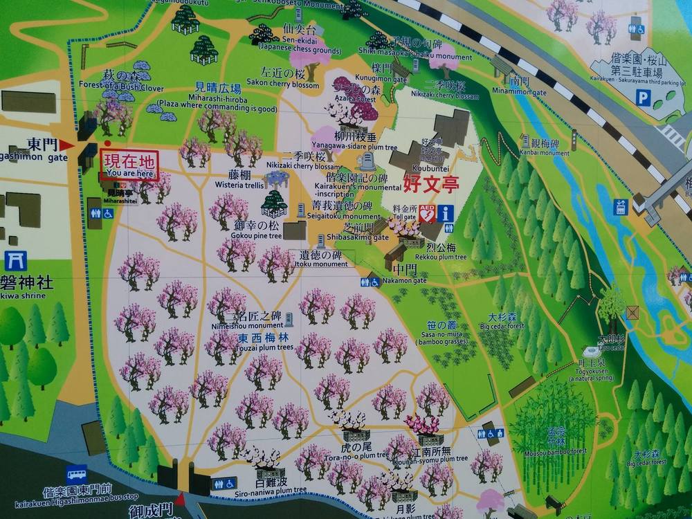 いとをかし。水戸・千波湖・偕楽園の写真10