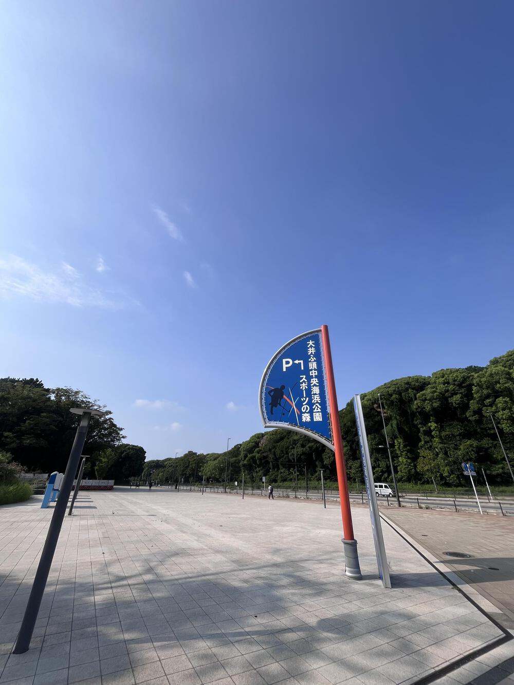 大井埠頭中央海浜公園　ほぼ日陰で程良いトレイルコースの写真3