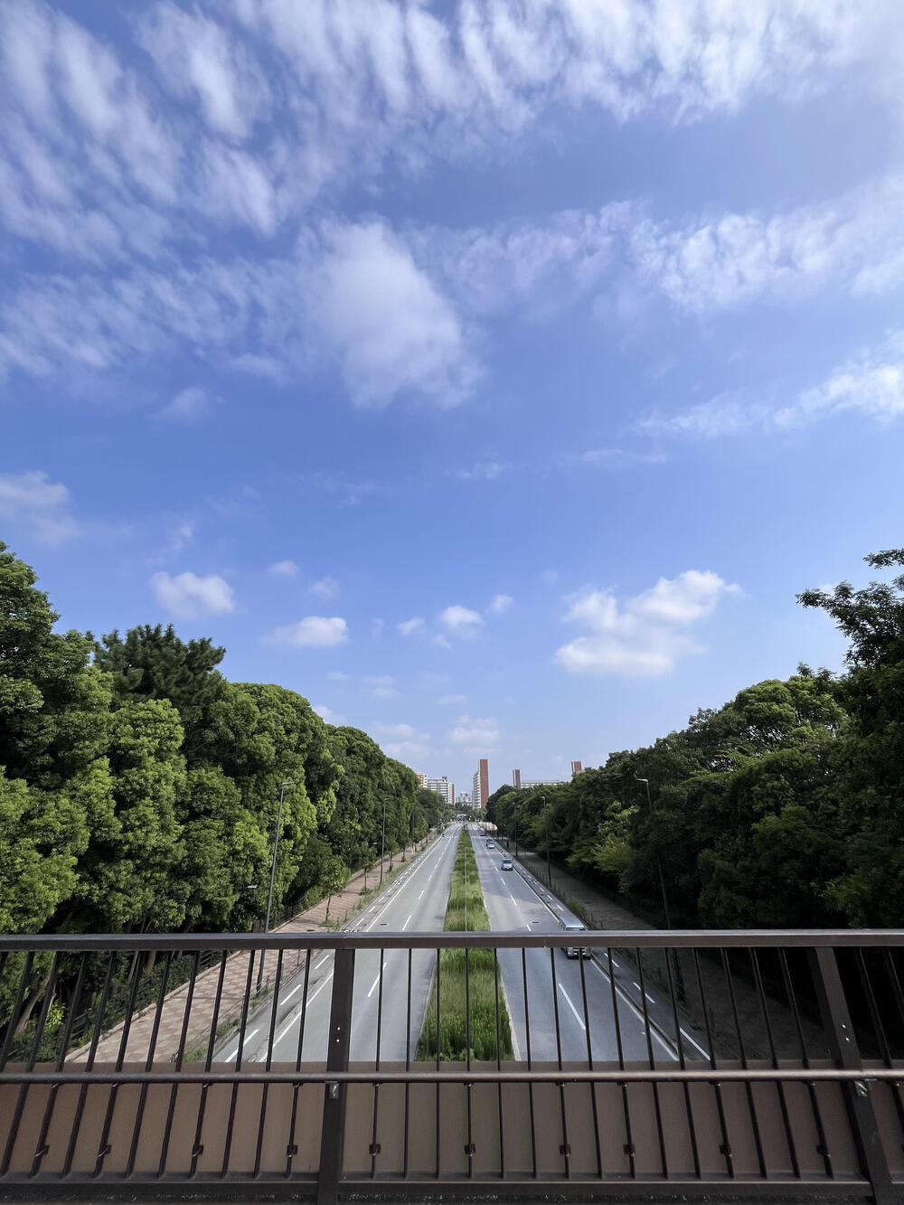 大井埠頭中央海浜公園　ほぼ日陰で程良いトレイルコースの写真5