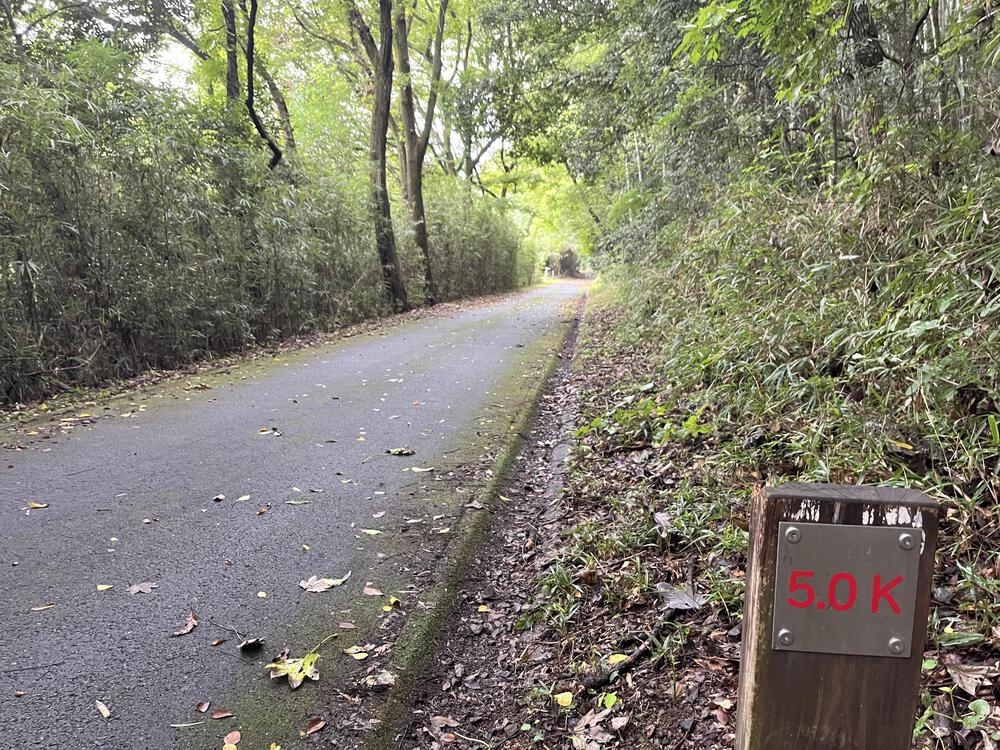 さすが国営！武蔵丘陵森林公園 10kmマラソンコースの写真5