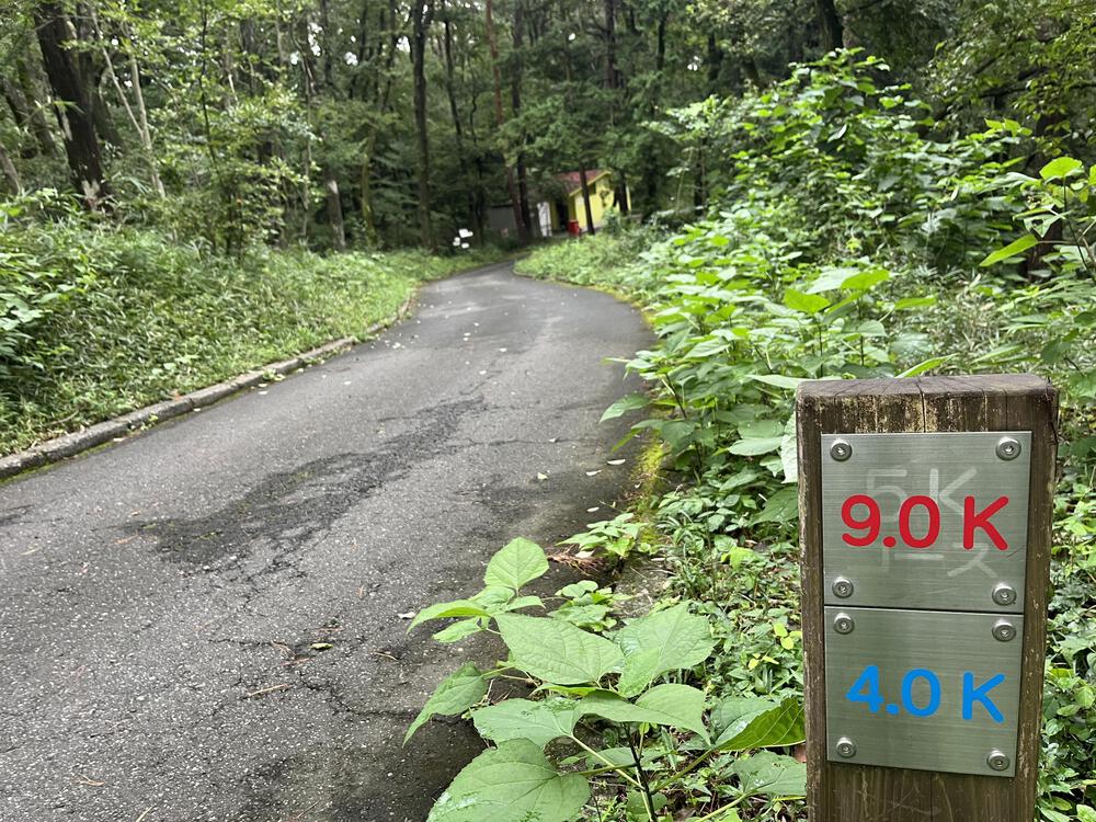 さすが国営！武蔵丘陵森林公園 10kmマラソンコースの写真8