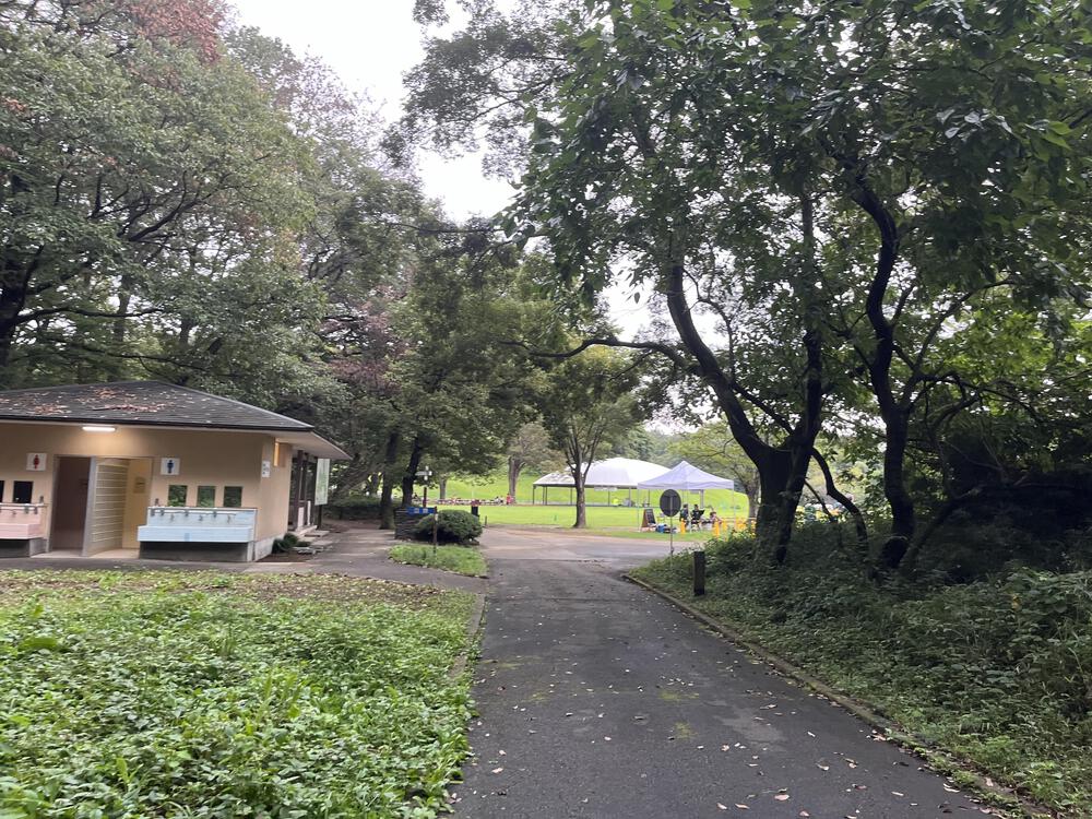 さすが国営！武蔵丘陵森林公園 10kmマラソンコースの写真9
