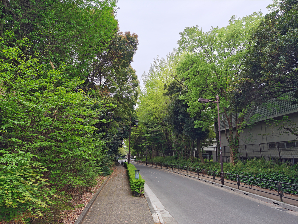 【東京都】上野駅～上野公園～鴨to葱の写真3