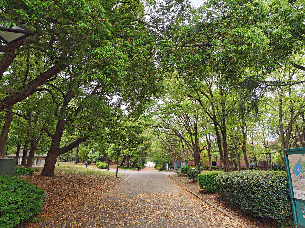【東京都】上野駅～上野公園～鴨to葱の写真4