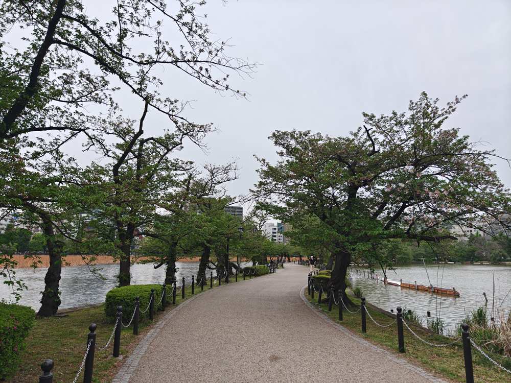 【東京都】上野駅～上野公園～鴨to葱の写真6