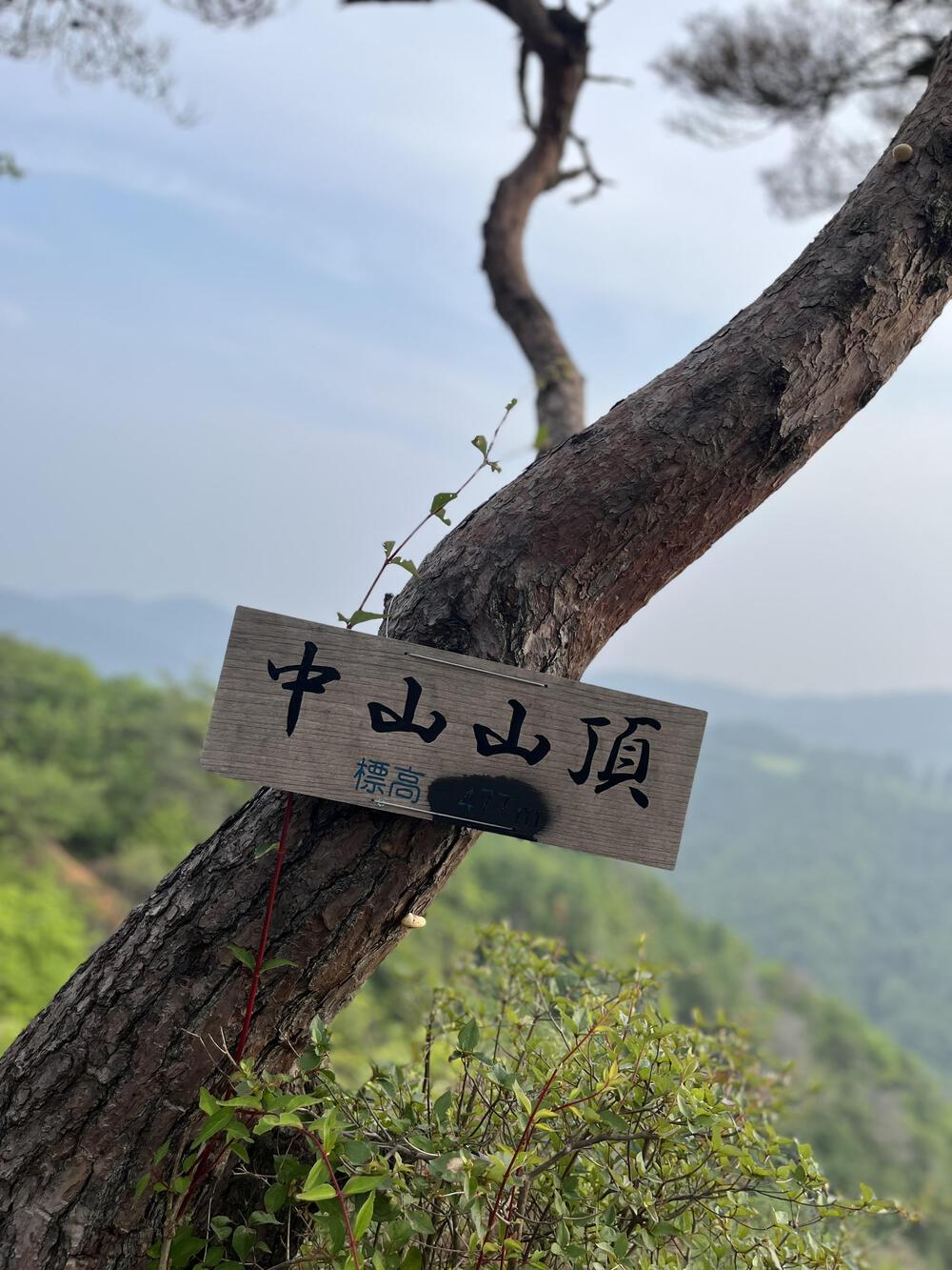 夏の山トレ　Around中山観音の写真4