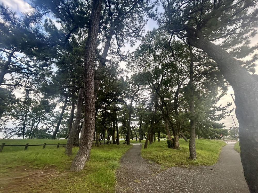 福岡の名所巡りコースの写真4