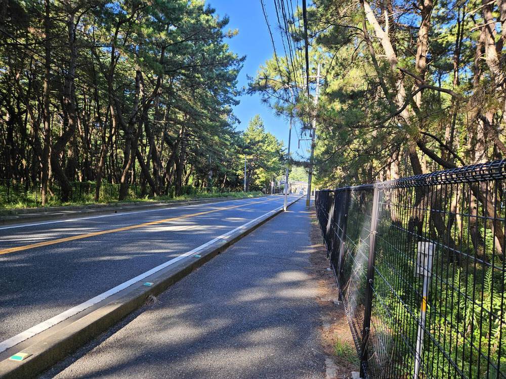 絶景ジョグコースの写真3