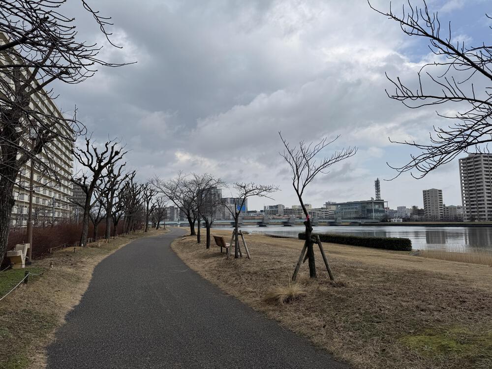 【約30キロ】新潟島周回コース　新潟シティマラソンっぽいコースの写真3