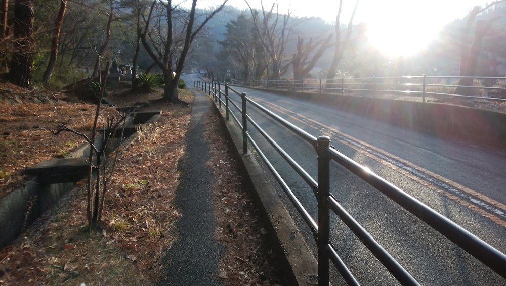甲斐国出張ラン（甲府市内観光反時計回り）の写真5