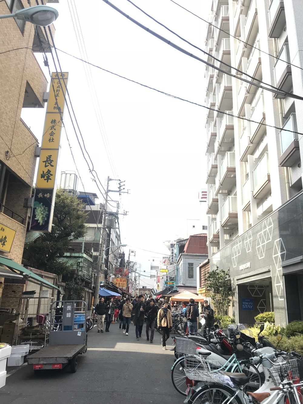 【ジョグポート有明発】豊洲・築地・台場周回コースの写真3