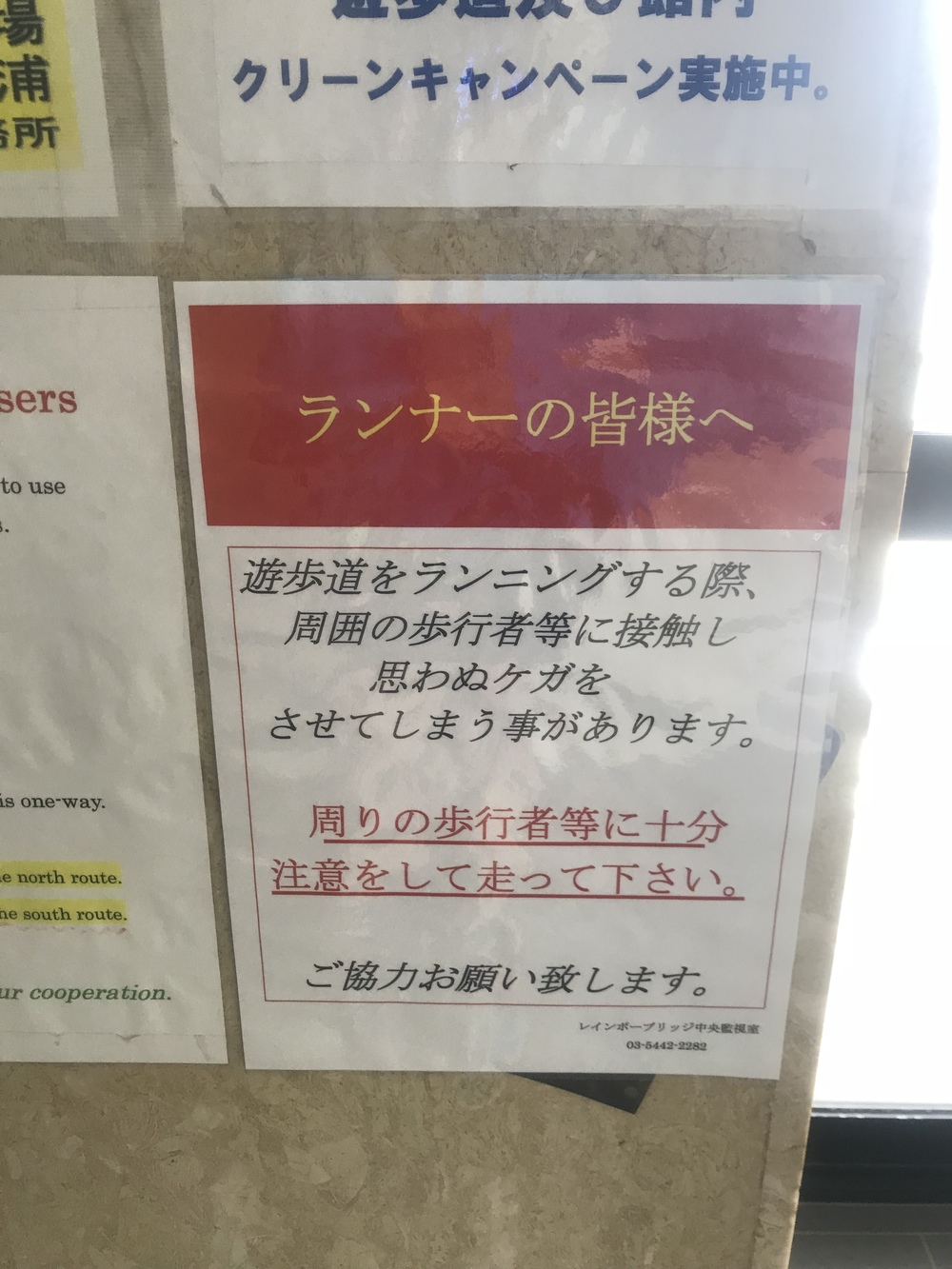 【ジョグポート有明発】豊洲・築地・台場周回コースの写真8