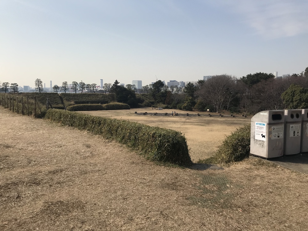【ジョグポート有明発】豊洲・築地・台場周回コースの写真14