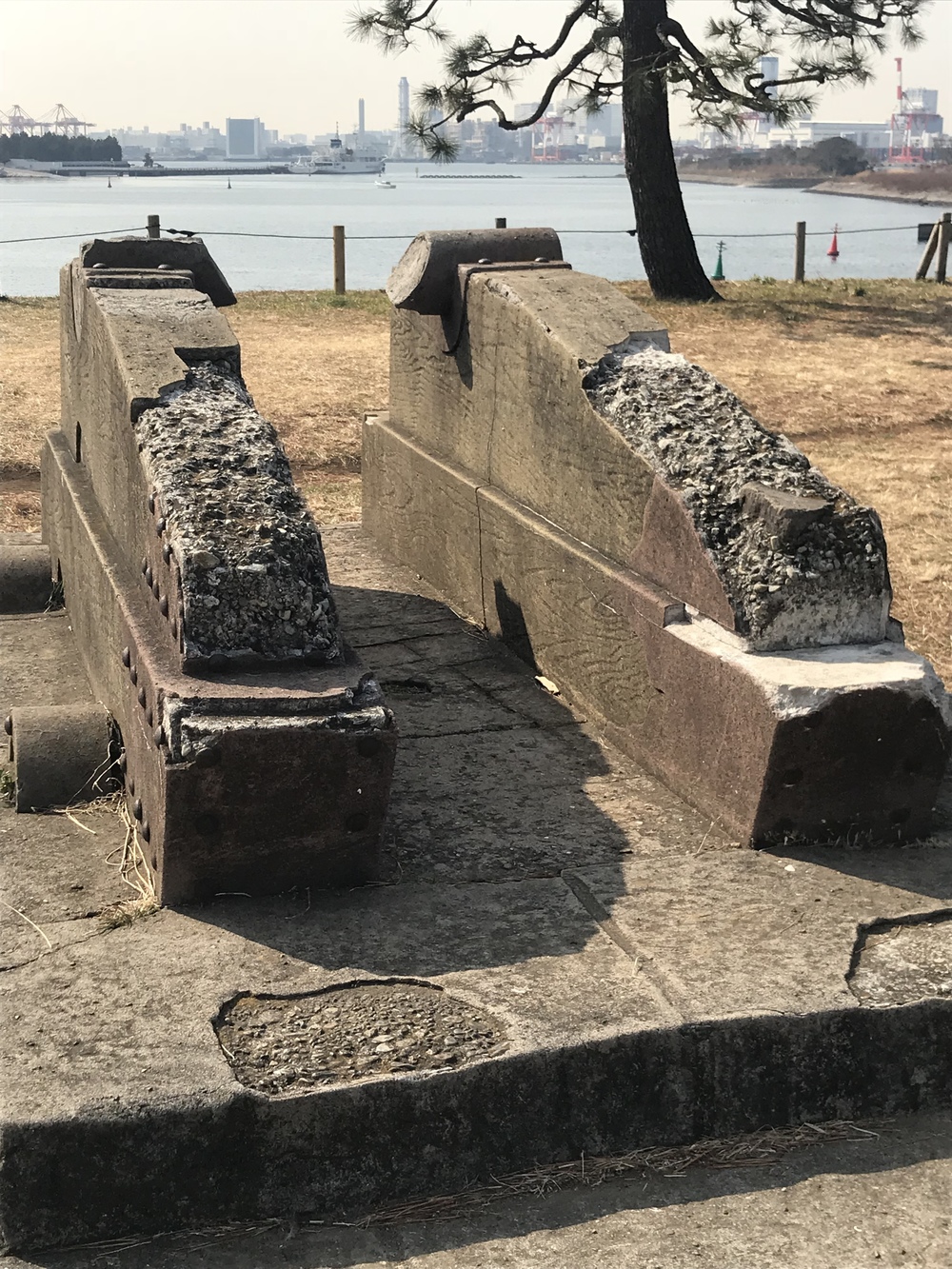 【ジョグポート有明発】豊洲・築地・台場周回コースの写真15