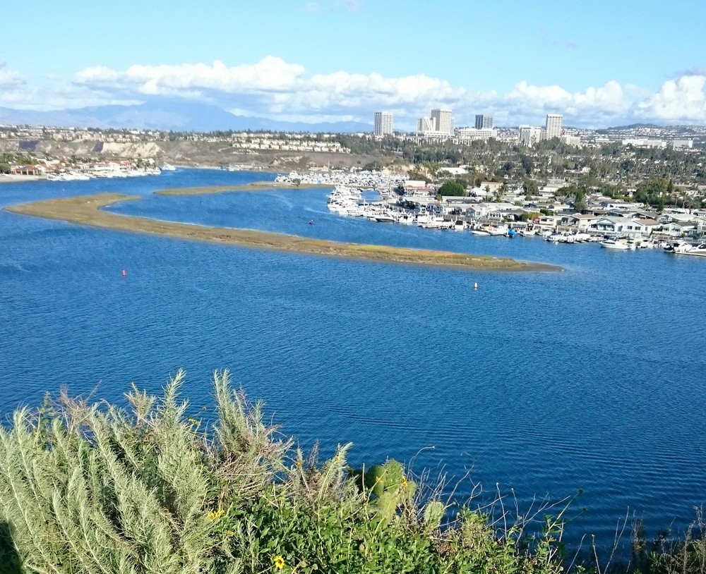 オレンジカウンティの自然を満喫！New Port Beach Back Bay Loopの写真3