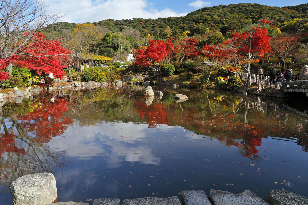 京都・将軍塚・清水寺・八坂神社・平安神宮の写真5