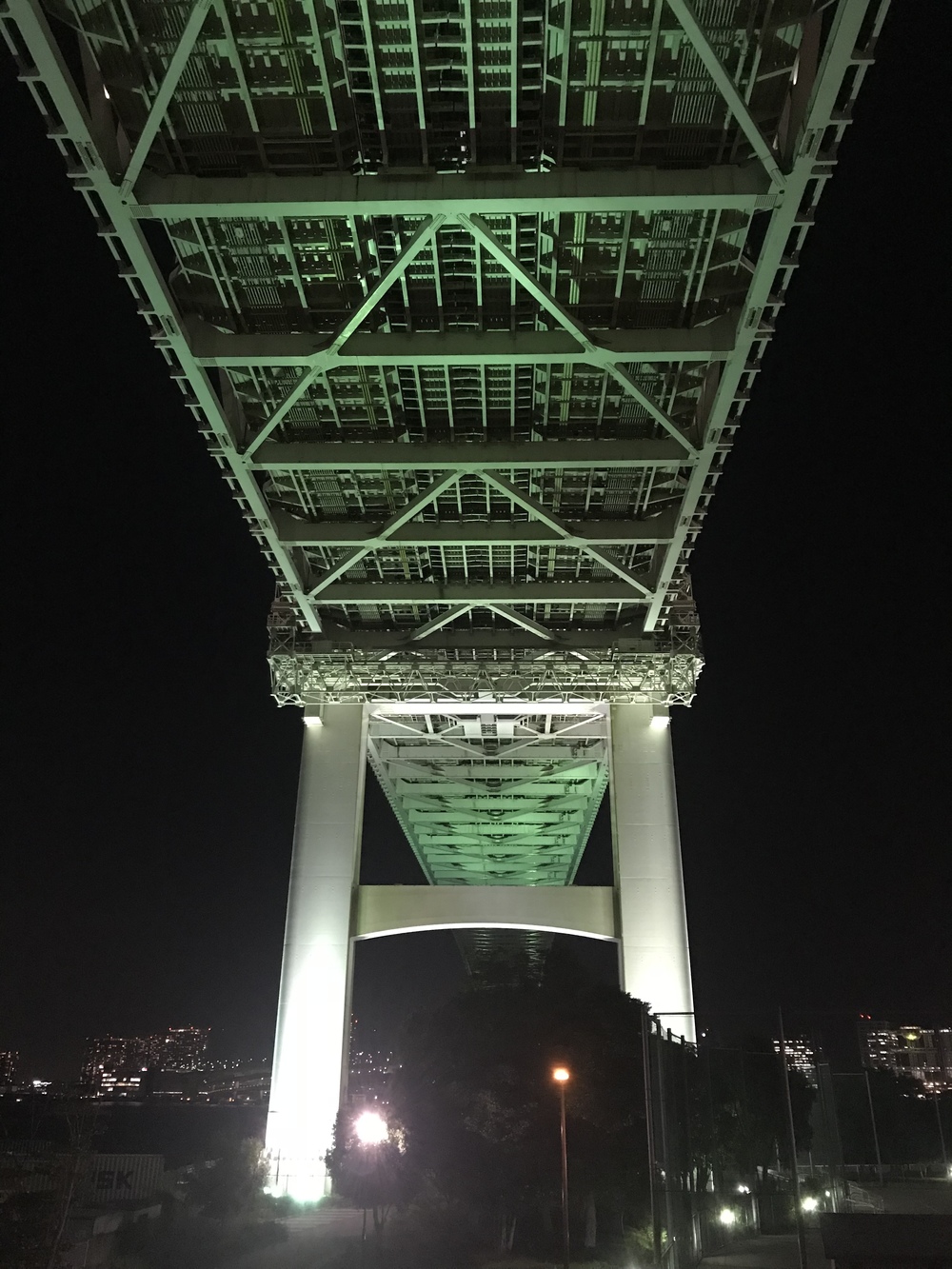 【大井町着】夜のお台場・レインボーブリッジを駆け抜けるっ！の写真7