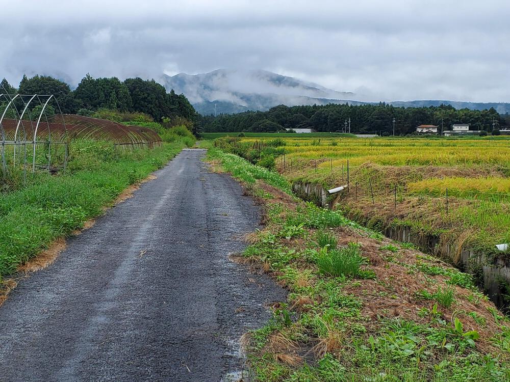 粕川温泉～おびんずる街道～千本桜峠(ふもと)走！の写真7