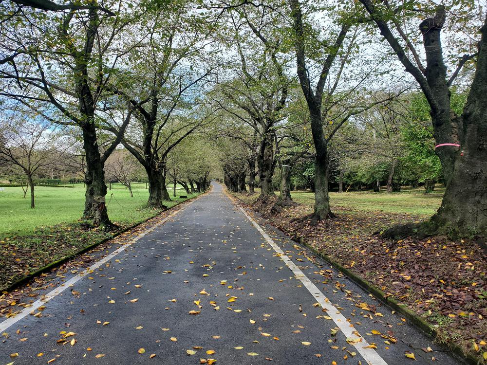 粕川温泉～おびんずる街道～千本桜峠(ふもと)走！の写真8